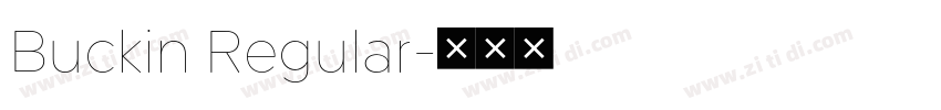 Buckin Regular字体转换